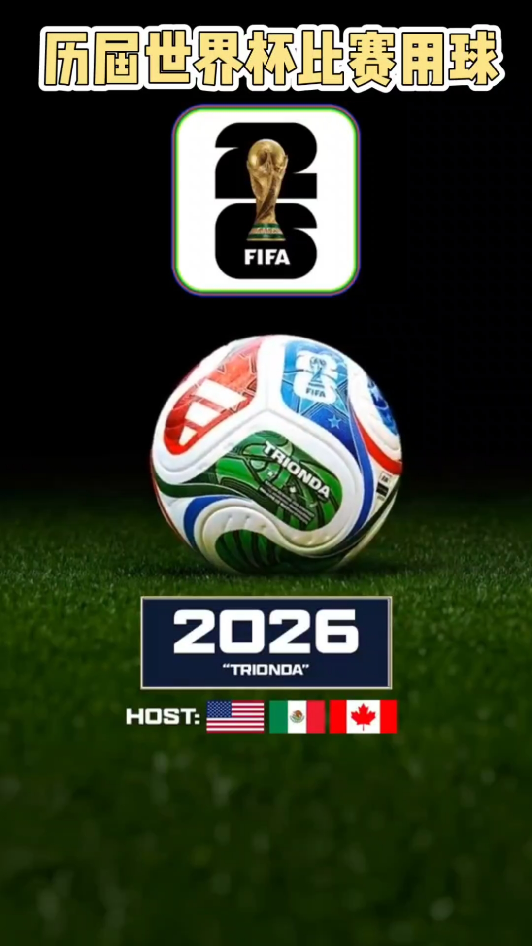 新手转化 新手转化