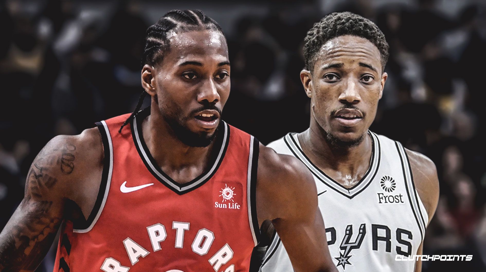 生态在同一 生态在同一